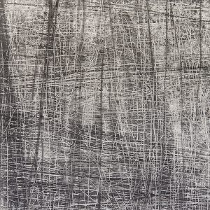Reveals, 4/18/2017_graphite on paper-12x129inches_completed 2017